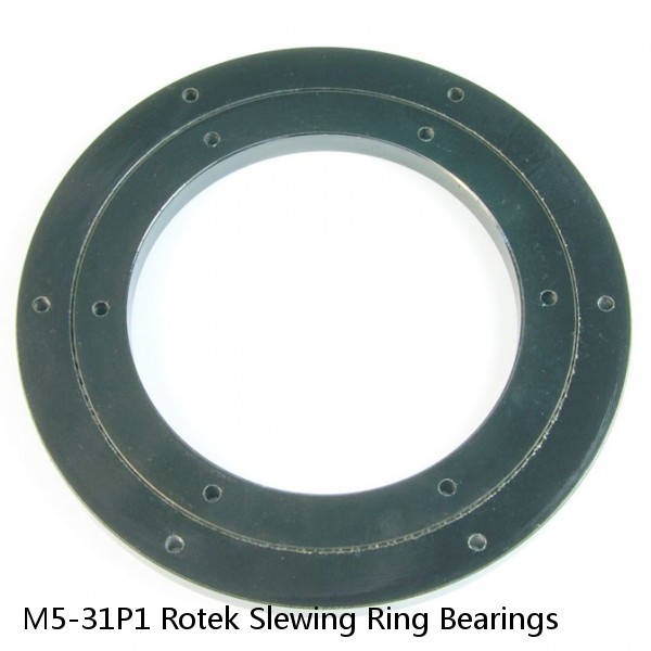 M5-31P1 Rotek Slewing Ring Bearings