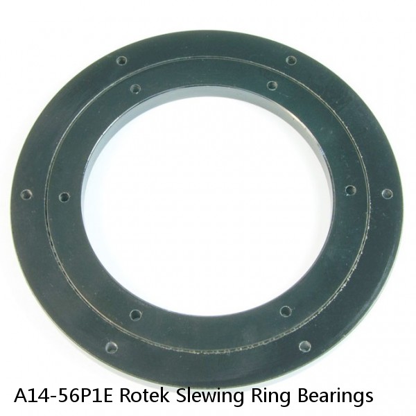 A14-56P1E Rotek Slewing Ring Bearings
