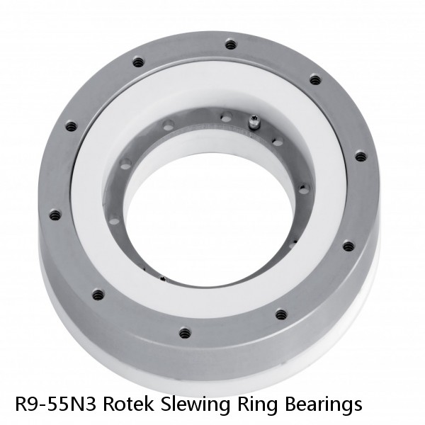 R9-55N3 Rotek Slewing Ring Bearings