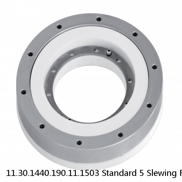 11.30.1440.190.11.1503 Standard 5 Slewing Ring Bearings