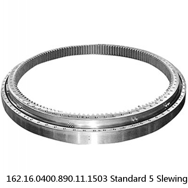 162.16.0400.890.11.1503 Standard 5 Slewing Ring Bearings