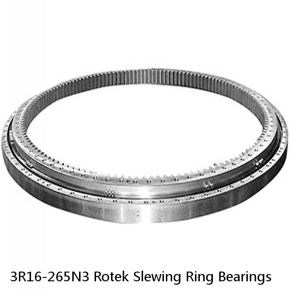 3R16-265N3 Rotek Slewing Ring Bearings