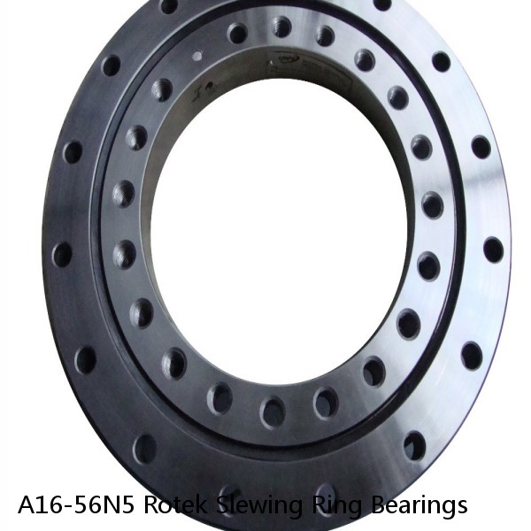 A16-56N5 Rotek Slewing Ring Bearings