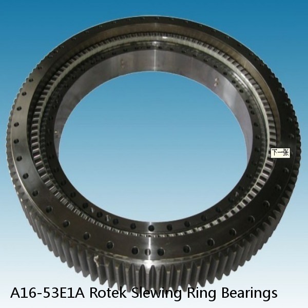 A16-53E1A Rotek Slewing Ring Bearings