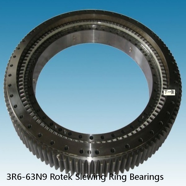 3R6-63N9 Rotek Slewing Ring Bearings