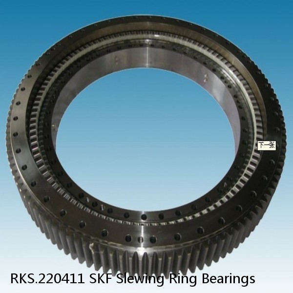 RKS.220411 SKF Slewing Ring Bearings
