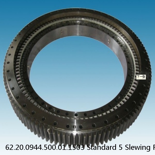 62.20.0944.500.01.1503 Standard 5 Slewing Ring Bearings
