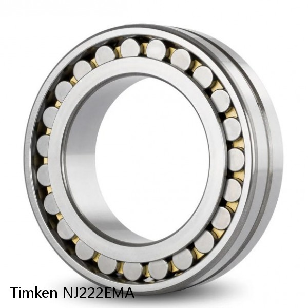 NJ222EMA Timken Cylindrical Roller Bearing