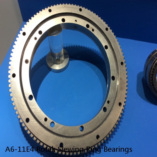 A6-11E4 Rotek Slewing Ring Bearings