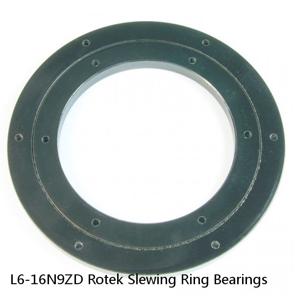 L6-16N9ZD Rotek Slewing Ring Bearings