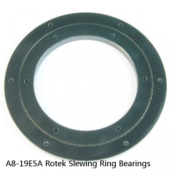 A8-19E5A Rotek Slewing Ring Bearings