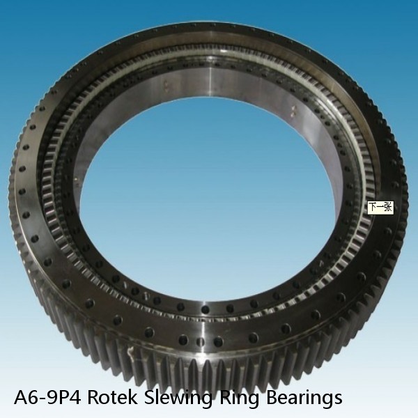 A6-9P4 Rotek Slewing Ring Bearings