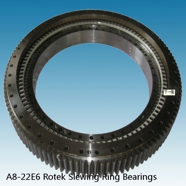 A8-22E6 Rotek Slewing Ring Bearings