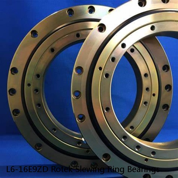 L6-16E9ZD Rotek Slewing Ring Bearings