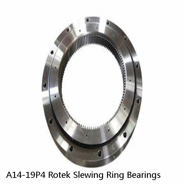 A14-19P4 Rotek Slewing Ring Bearings