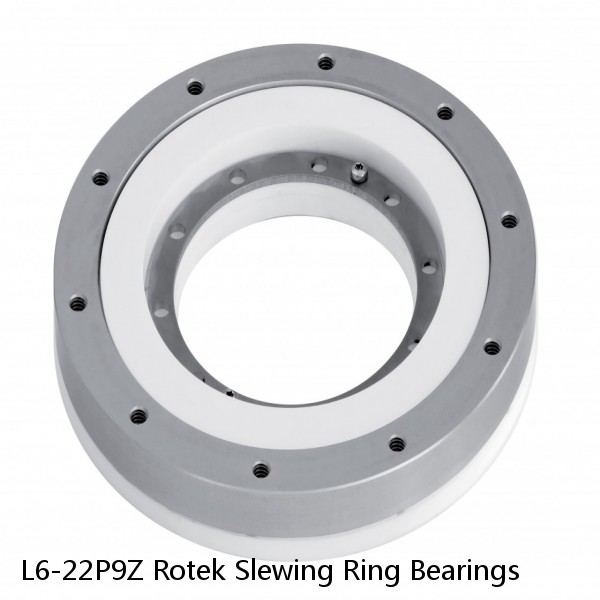 L6-22P9Z Rotek Slewing Ring Bearings