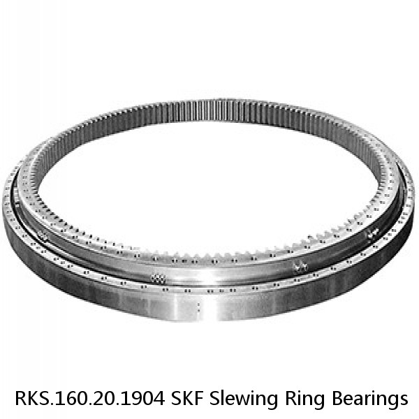 RKS.160.20.1904 SKF Slewing Ring Bearings