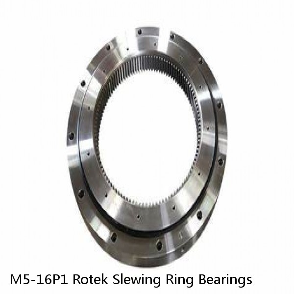 M5-16P1 Rotek Slewing Ring Bearings