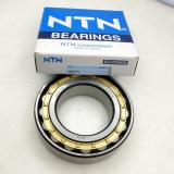 EBC 516118 304 SS SAMPLES Bearings