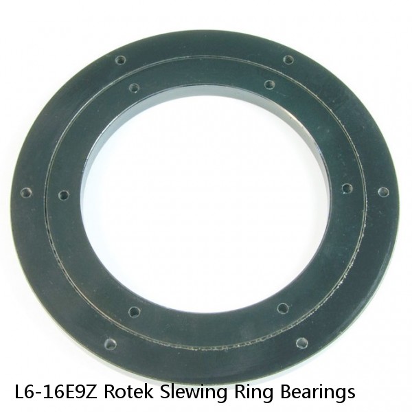 L6-16E9Z Rotek Slewing Ring Bearings