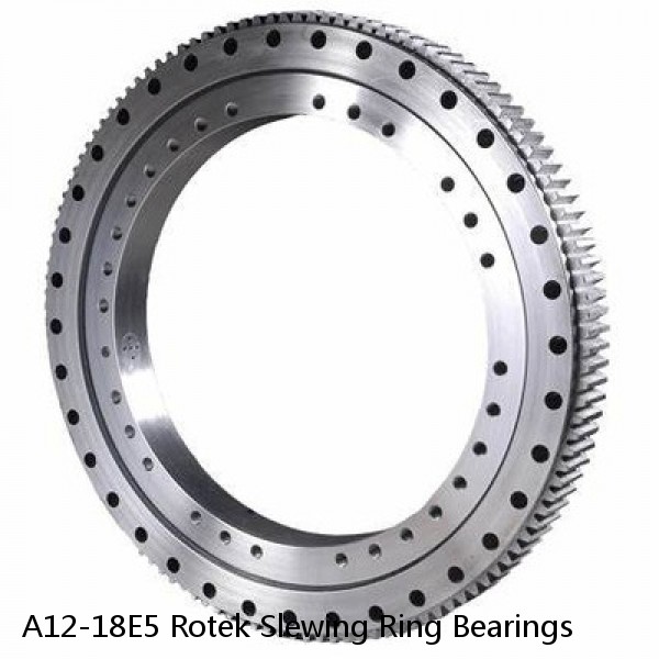 A12-18E5 Rotek Slewing Ring Bearings