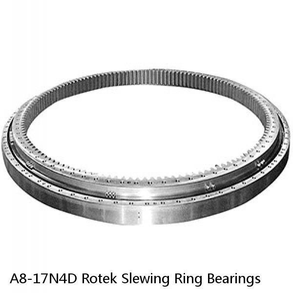 A8-17N4D Rotek Slewing Ring Bearings