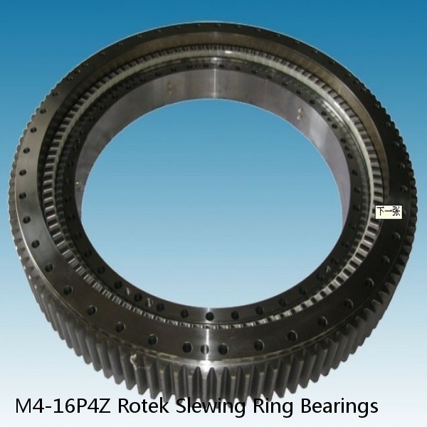 M4-16P4Z Rotek Slewing Ring Bearings