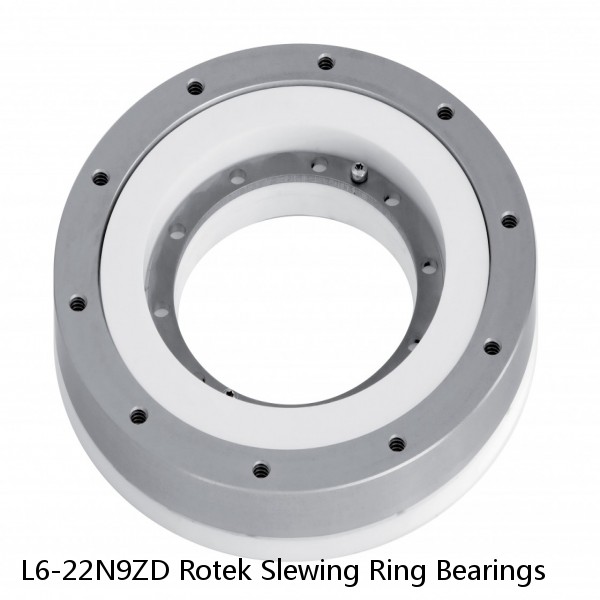 L6-22N9ZD Rotek Slewing Ring Bearings