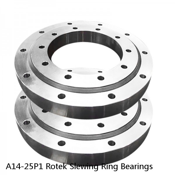 A14-25P1 Rotek Slewing Ring Bearings